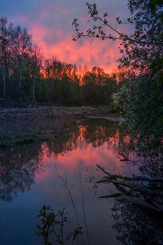 Am Ende des Tages / ...