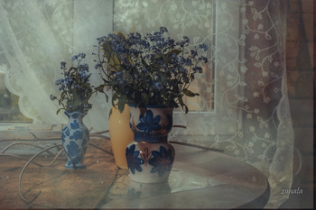 forget-me-not / ***