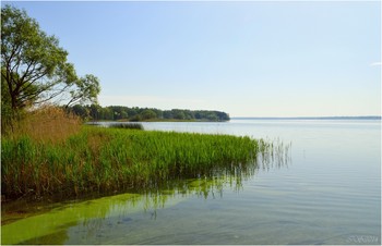 Frühlingsmorgen / [img]https://i.imgur.com/oUEJ4kF.jpg[/img][img]https://i.imgur.com/NycRlMR.jpg[/img]