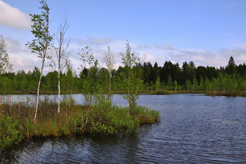 Auf dem See / ...
