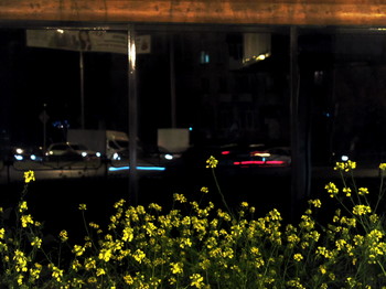 Abend / [img]https://i.imgur.com/mJF5IS3.jpg[/img]
