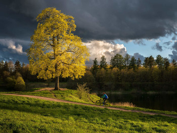 Beautiful evening in the Priory park. Gatchina. / May evening in the park.