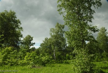 Im Frühsommer / ...