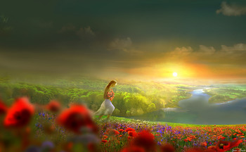 Poppy Sonnenuntergang / ***