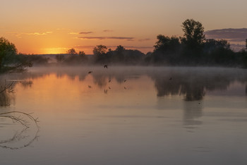 In der Stunde vor Sonnenaufgang / ***