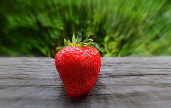 Erdbeere / Erdbeere