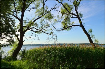 &nbsp; / [img]https://i.imgur.com/gYvgCfi.jpg[/img]