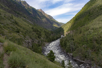 Mountain Stream / ***