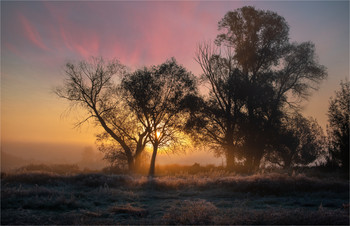 Morgendämmerung / ***