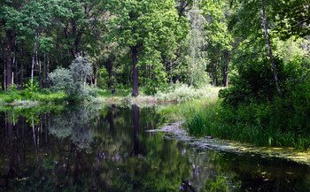Sommer / ***