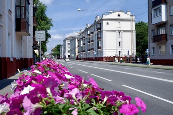 Gomel / ***