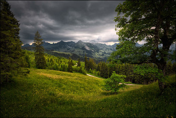 Alpen Panorama / Naturpark