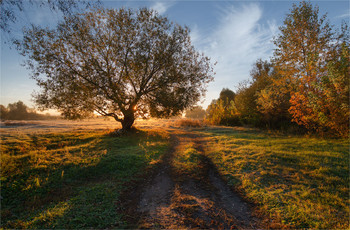 Autumn Kontraste / ***