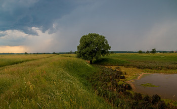 Vor dem Sturm / ***