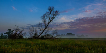 Sommermorgen. / ***