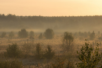 Morgennebel ... / ...