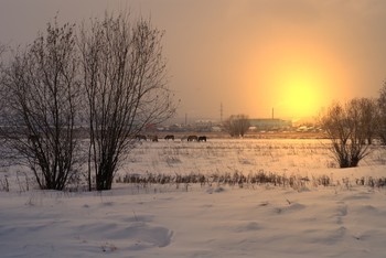 Winter Abend ... / ***