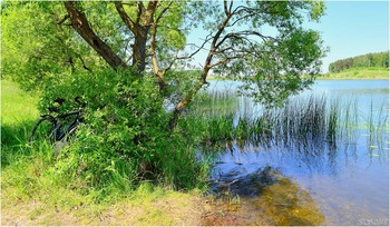 Sommernachmittag / [img]https://i.imgur.com/iEtigYC.jpg[/img]
