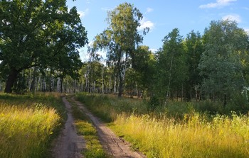 Summer Straße / ***