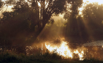 Nebel zerstreut / ***