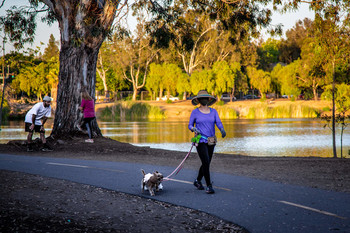&quot;Die Dame mit dem Hündchen&quot; / ....