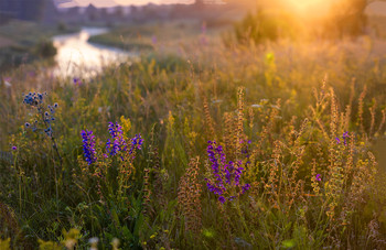 &nbsp; / 12.07.2020.