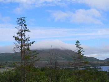 Nebel zerstreut / ***