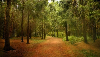 ... Walk in the Park / ***