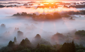 durch den Nebel / ***