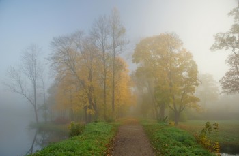 Herbst / ***