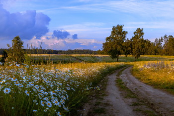 Landschaft / ***