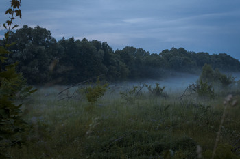 Nebel kommt / ***