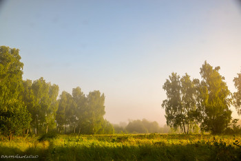 sunny day / ...