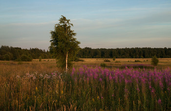 Bei Sonnenuntergang / ***