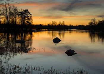 Evening Watch / ***