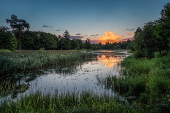 The evening before the rain. / Filkino lake, Gatchina. The evening before the rain. July.