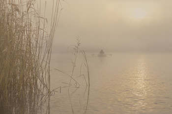 im Nebel / ***