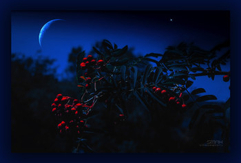 &nbsp; / ))))))))))((((((((((((((())))))))