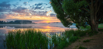 Morgen auf dem See / ...