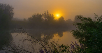 Morgennebel. / ***