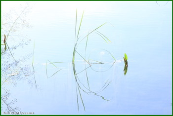 Bei Sonnenuntergang / ***