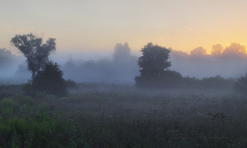 Strömungsschatten / ***