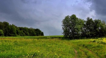 Aufkommendem Sturm / ***