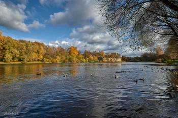 Herbst / ***