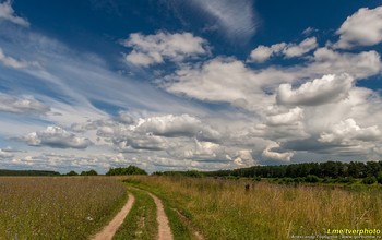 Entlang der Küste / ***