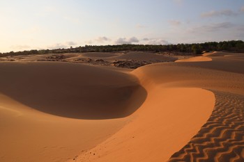 Dunes / ***