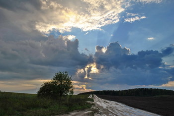 Nach dem Regen / ***