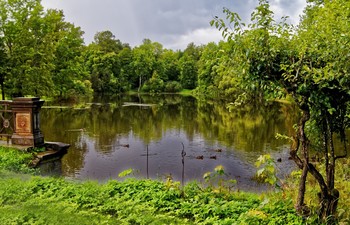 Nach dem Regen / ***