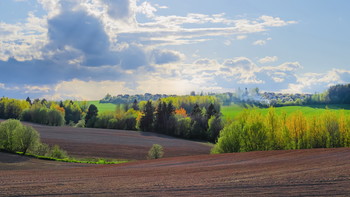 Farben des Frühlings / ***