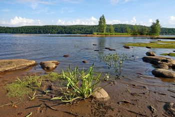 Auf dem Fluss. / ***